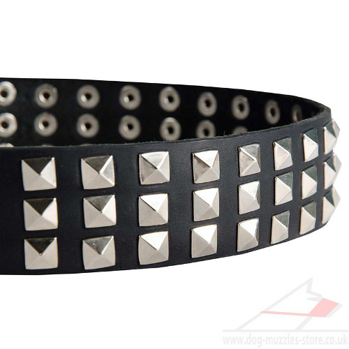 Dog Collars UK