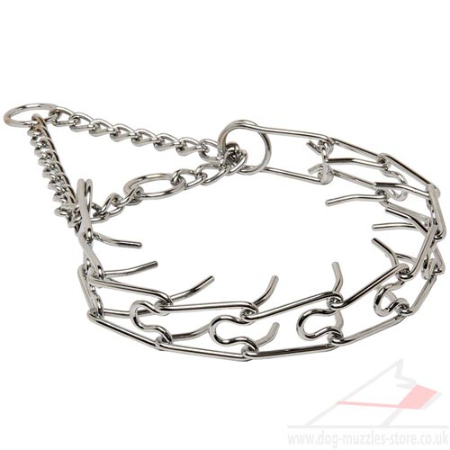 dog prong collar