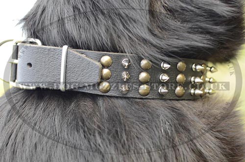 Leather Collar for German Shepherd