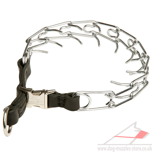 prong dog collar