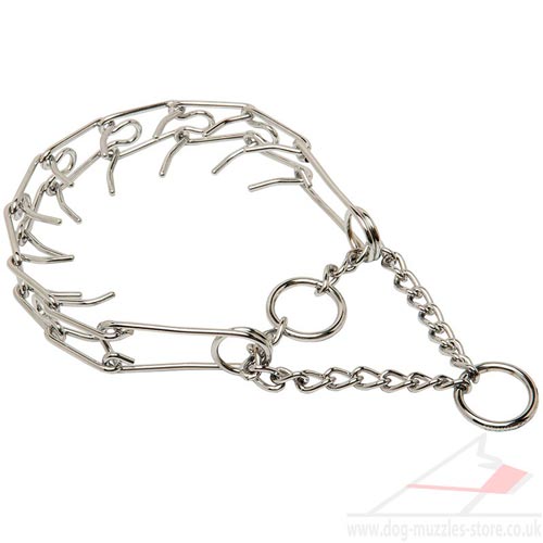 dog prong collar