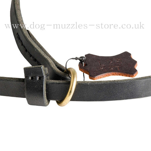 Leather Dog Collar and Lead