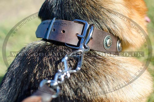 German Shepherd Dog Walking Collar