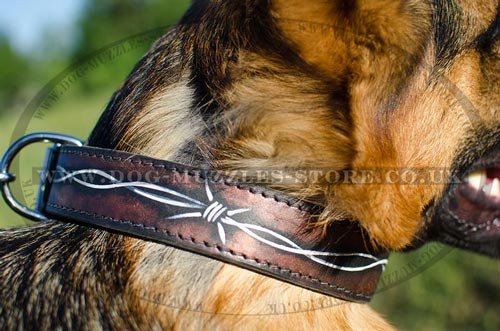 Dogs Collars for German Shepherd