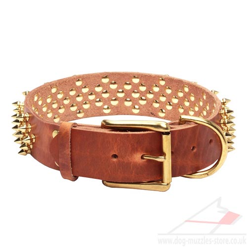 Leather Dogs Collars