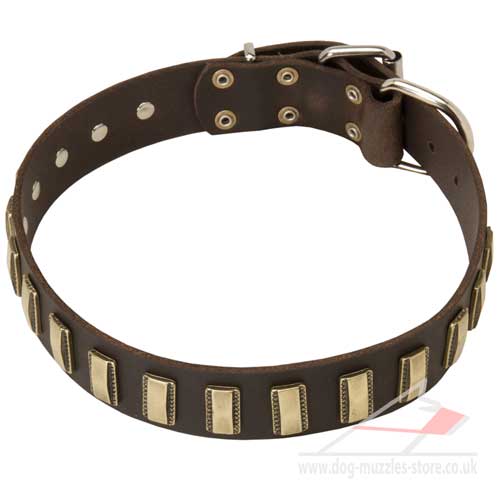 Designer dog collar