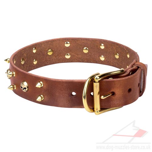 Elegant Dog Collar UK