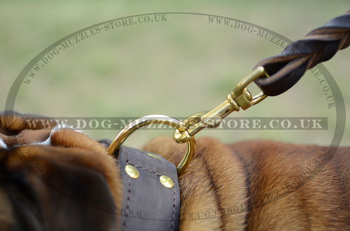 Extra Strong Dog Collar