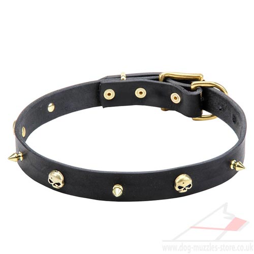 Small Dog Collar UK