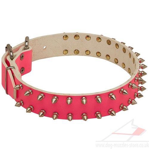 Posh-Pawz - Designer Pet Accessories - Dog Collars Dog 5 Posh-Pawz - Designer Pet Accessories - Dog Collars Dog 13