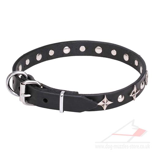 leather dog collar