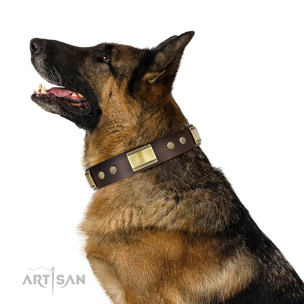 German Shepherd dog collar for sale