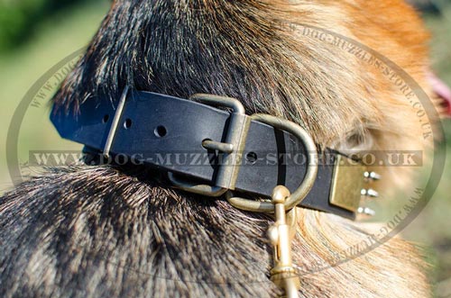 Luxury Dog Collars for German Shepherd Dog Breed