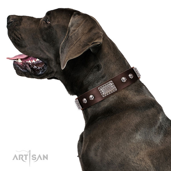 great dane dog collar for sale