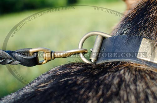 Big German Shepherd Collar