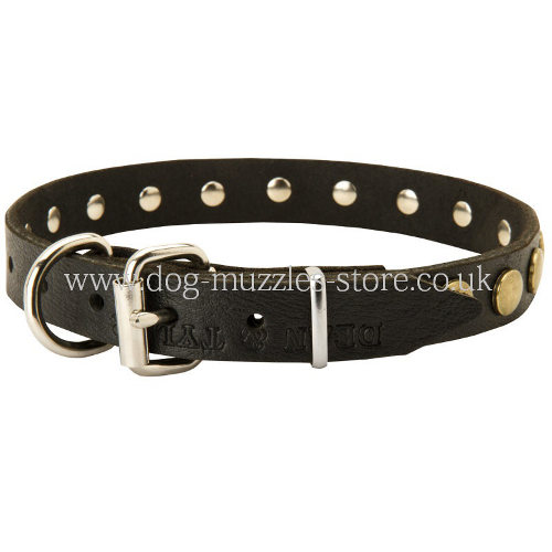 studded dog collar