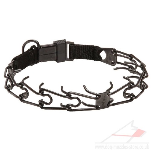 rust resistant pinch dog collar for sale