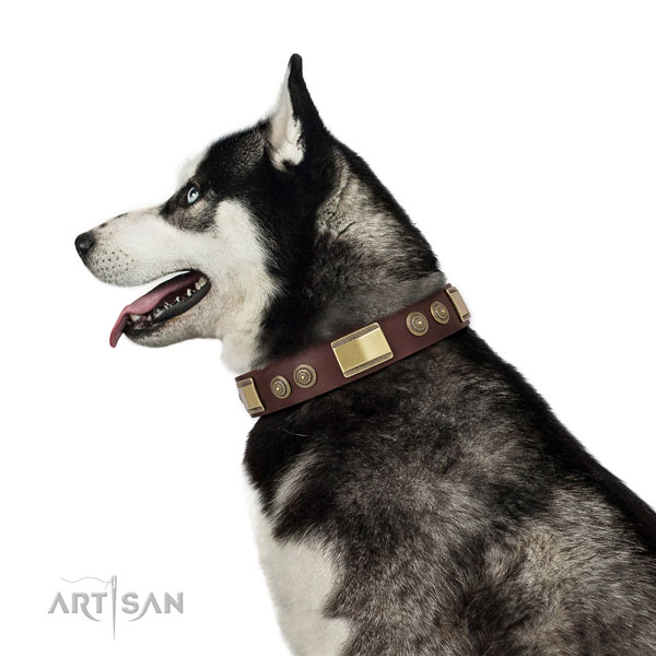 Husky dog collar for sale