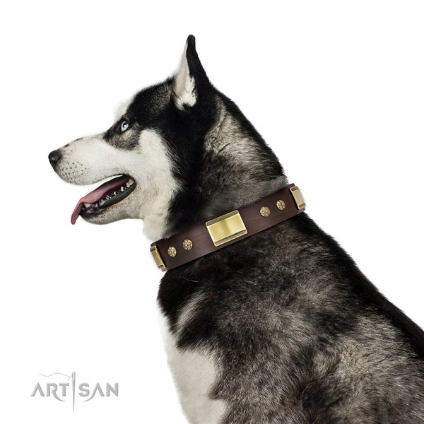 Husky dog collar for sale