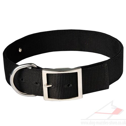 Neapolitan Mastiff Dog Collar with Buckle