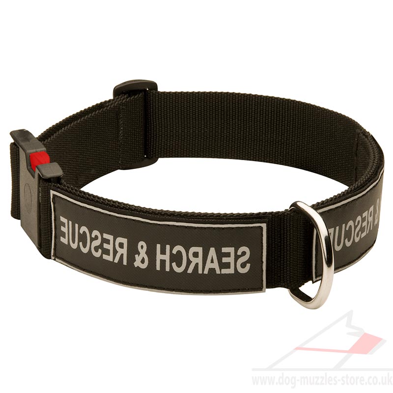 K9 Dog Collar for Dog Training Service Dog Collars UK