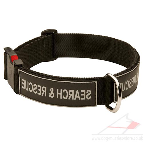 Dog Training Collar