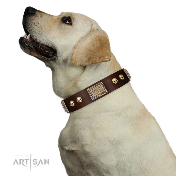 labrador dog collar for sale