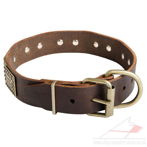 large dog collars