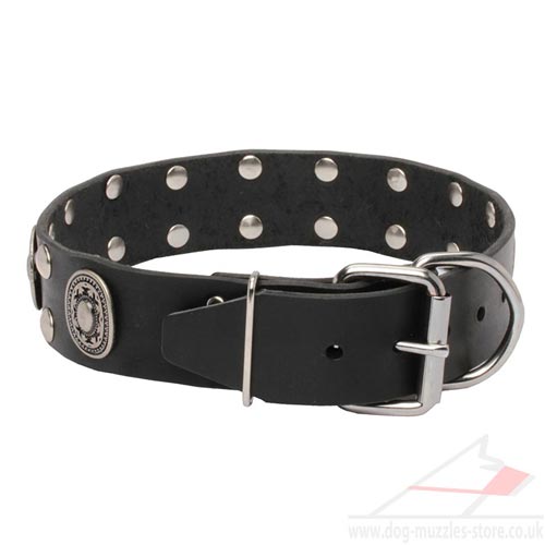 Luxury Leather Dog Collars UK
