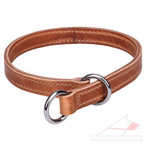 elegant dog collar for sale online