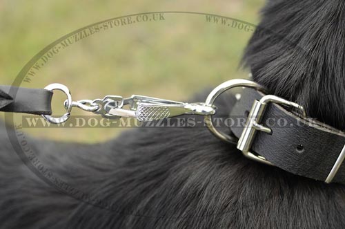 Leather Collar for German Shepherd