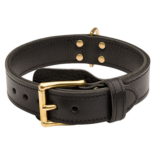 Agitation Dog Collar with Buckle