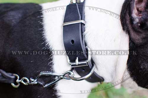 leather dog collar