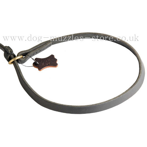 Dog Collar and Lead Set