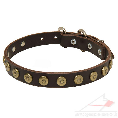 Leather dog collar for pit bull