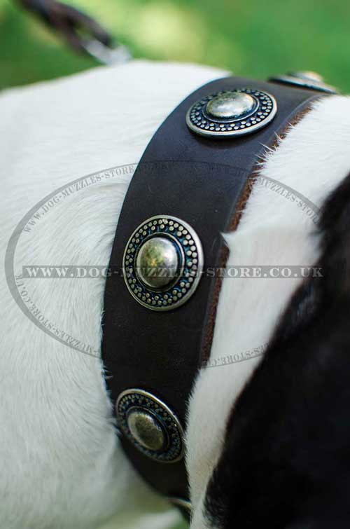 Leather dog collar