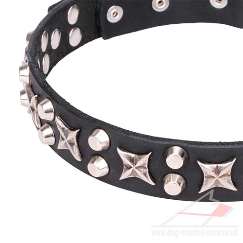 1 inch dog collar buy uk