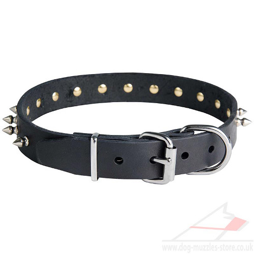 spiked dog collar