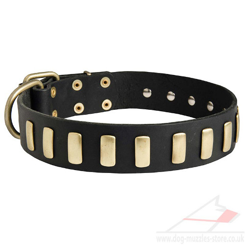 American Staffordshire Terrier Leather Dog Collar
