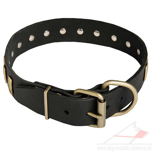 Large Dog Collar with Buckle