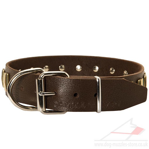 Leather Dog Collars for Large Dogs