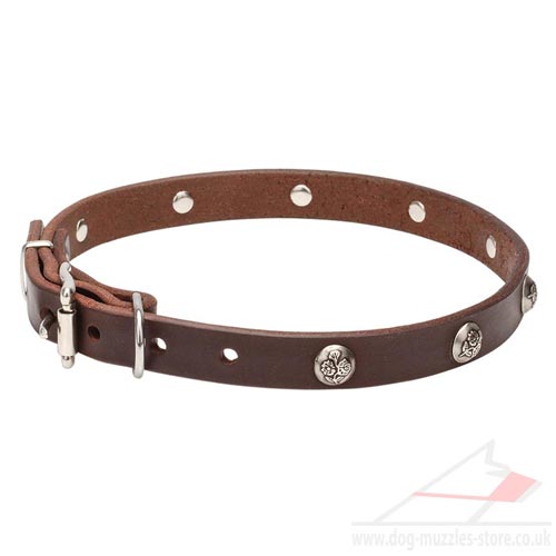 Beautiful Dog Collar with Buckle