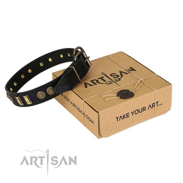 Elite Big Dog Collar