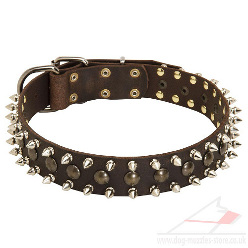 Spiked Dog Collar for Pitbull