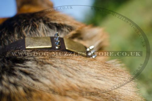 German Shepherd Collar