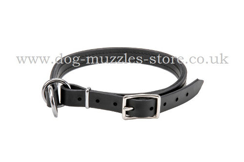 Leather Dog Collar Choker