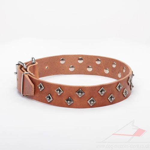 Natural Leather Dog Collar