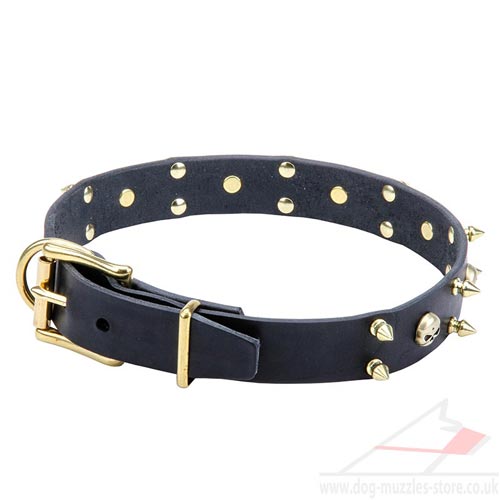 Dog Collar Designs