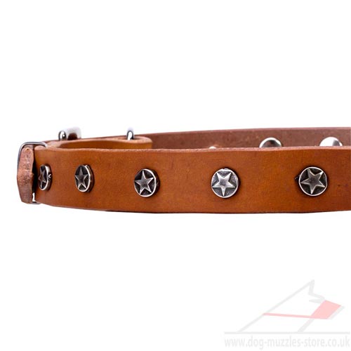 Dog Leather Collars UK