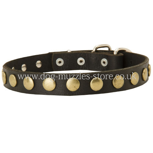 German Shepherd Collar UK